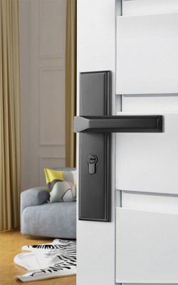 Khóa cửa đại sảnh