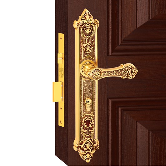 Khóa cửa đi 04296