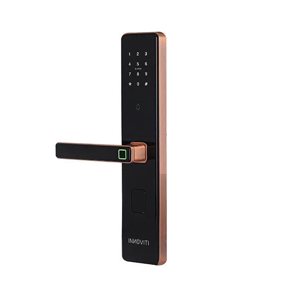 Khóa vân tay inonviti 28383