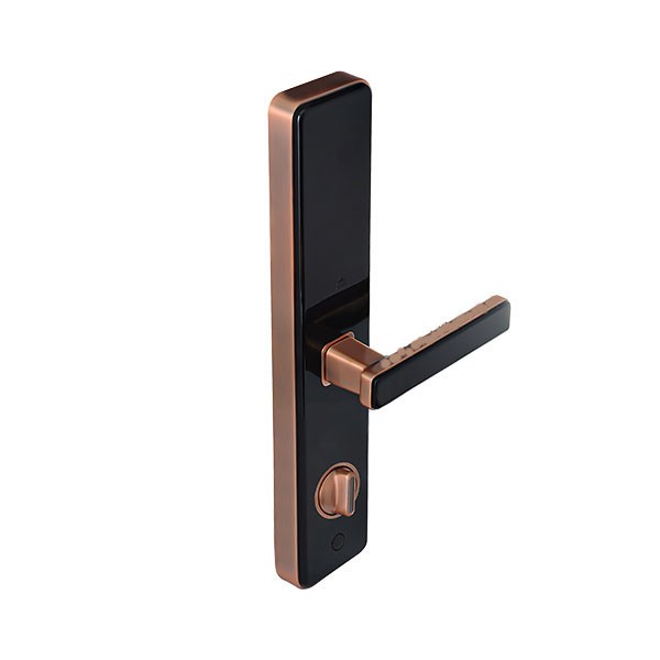 Khóa vân tay inonviti 28383