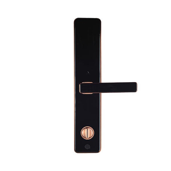 Khóa vân tay inonviti 28383