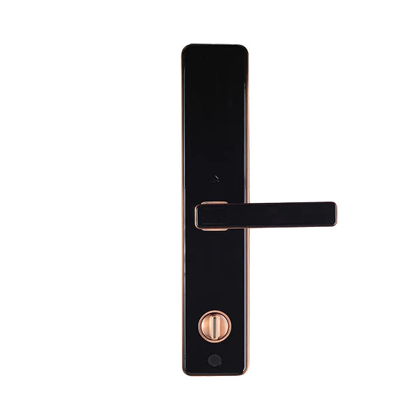 Khóa vân tay inonviti 28383